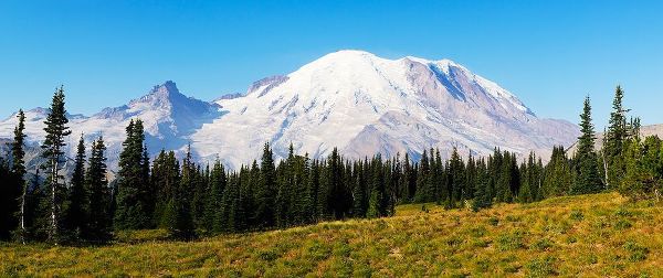 Wild, Jamie and Judy 아티스트의 Washington State-Mount Rainier National Park Mount Rainier작품입니다.